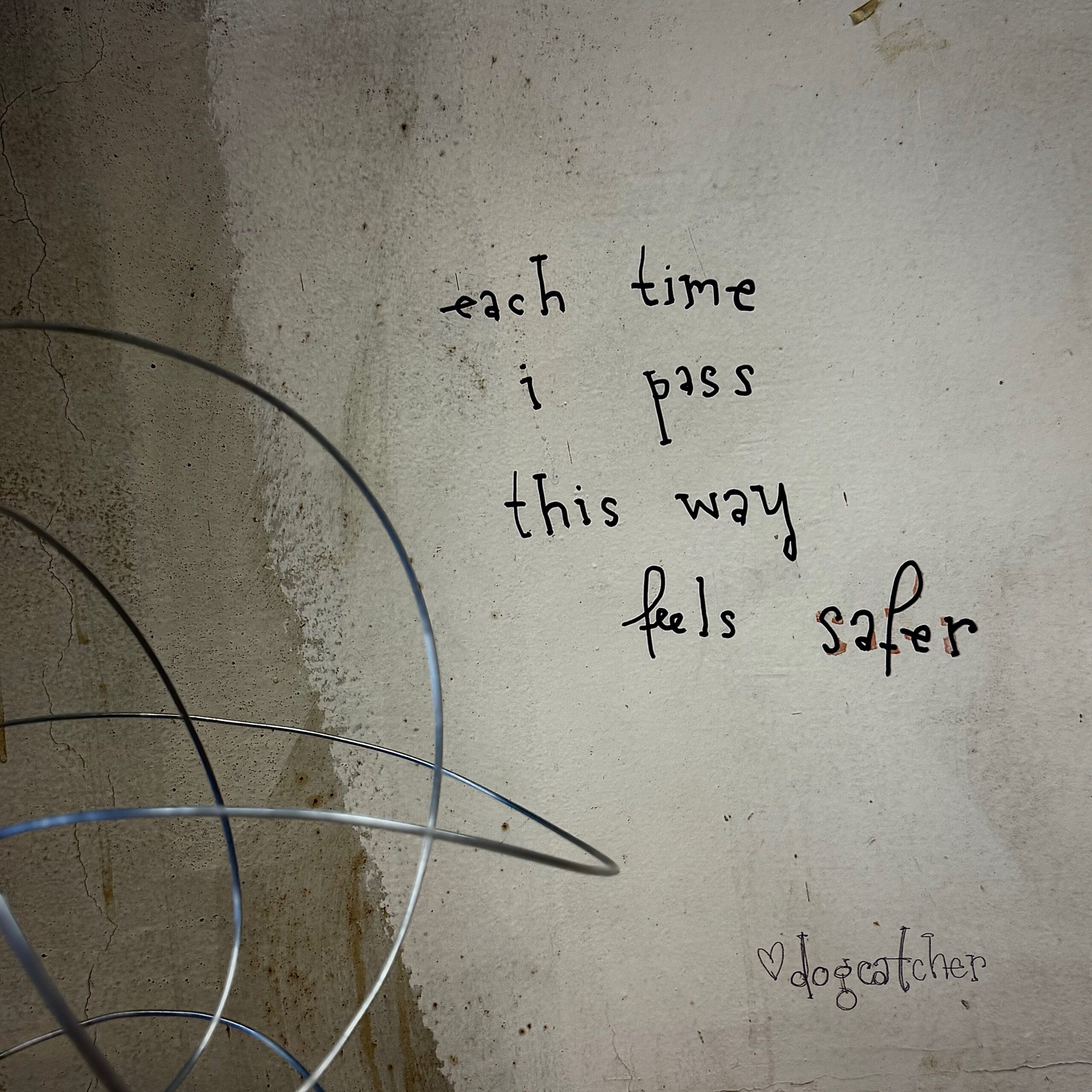Dogcatcher: Each Time I Pass This Way Feels Safer